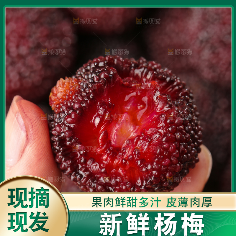 深底上的杨梅鲜果