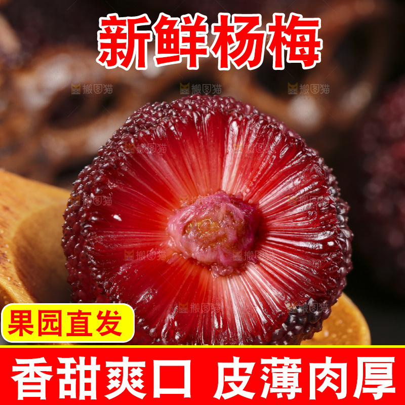 木底上的仙居杨梅