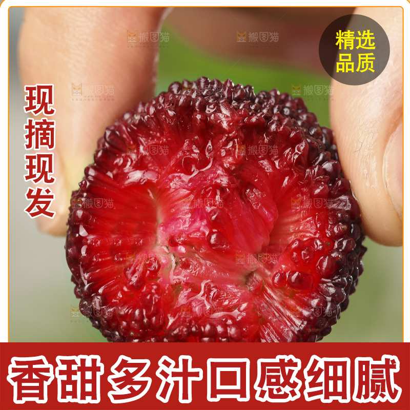 木底上的新鲜杨梅