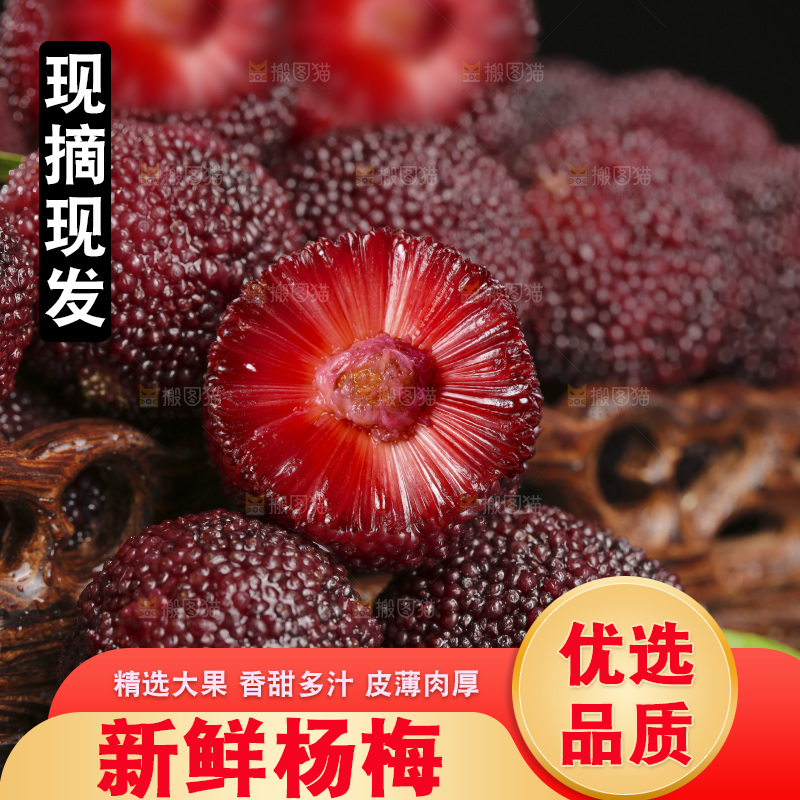 木底上的仙居杨梅