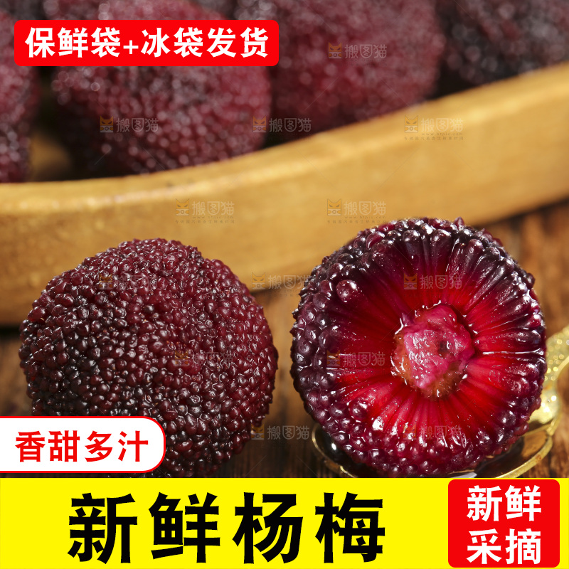 木底上的仙居杨梅