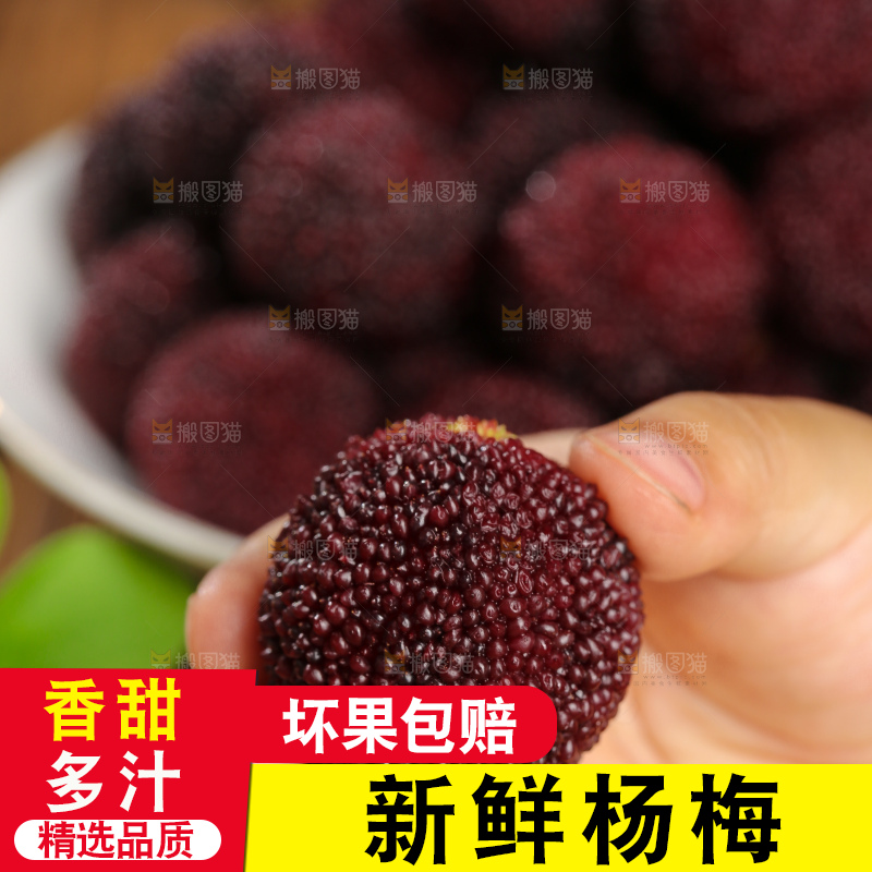 木底上的仙居杨梅
