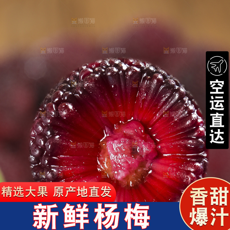木底上的仙居杨梅