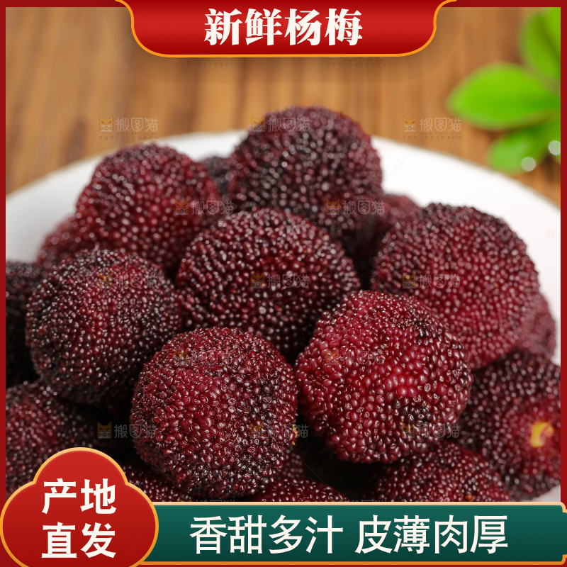 木底上的仙居杨梅