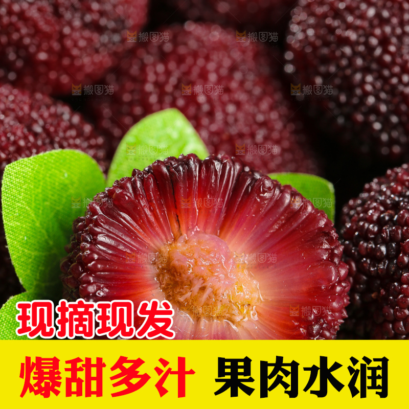 木底上的仙居杨梅