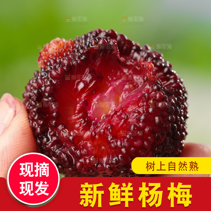 深底上的杨梅鲜果
