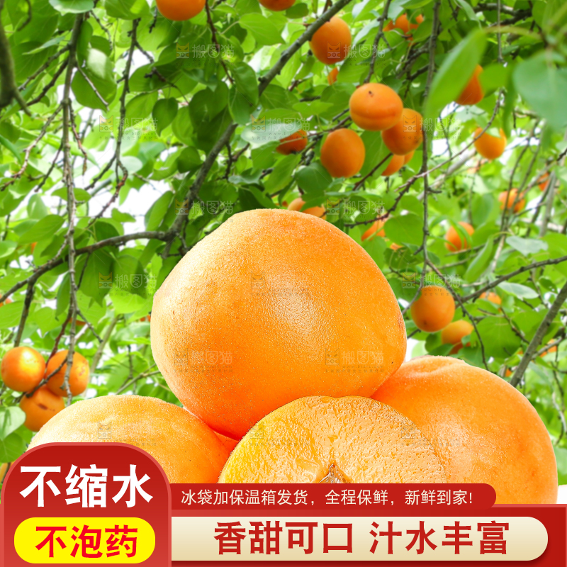 桌子上放着大黄杏
