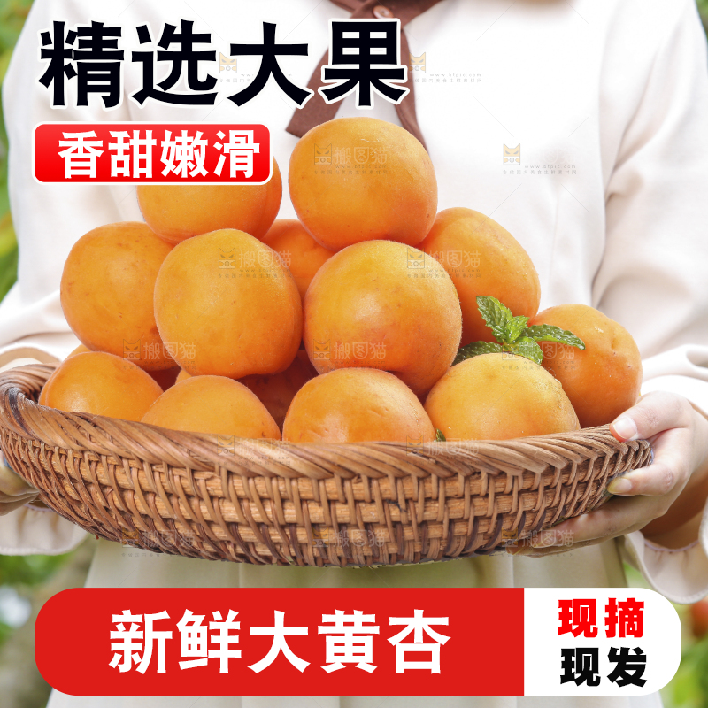 手里拿着大黄杏