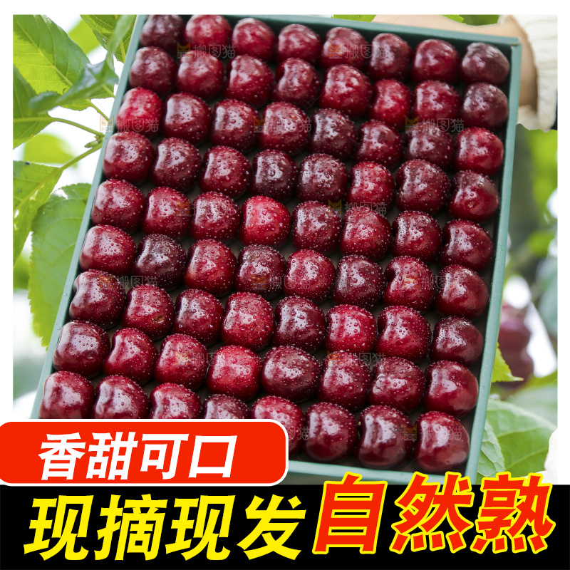 盒子装着智利车厘子