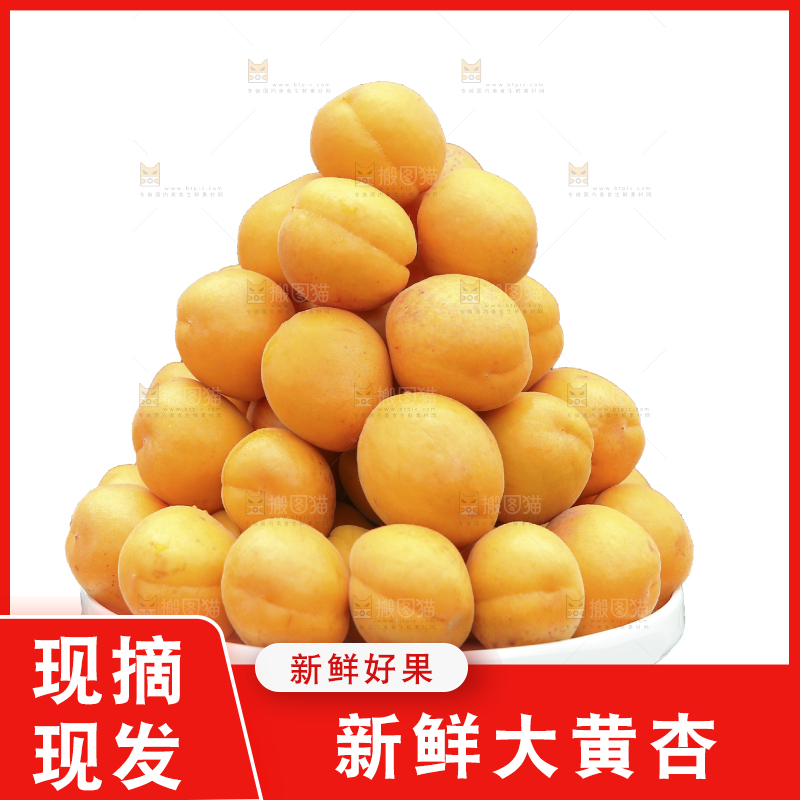 白底上的大黄杏
