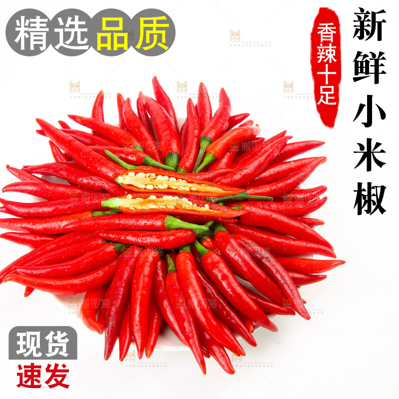 白底上的小米辣