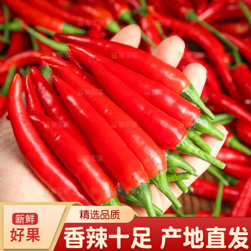 木底上的小米椒
