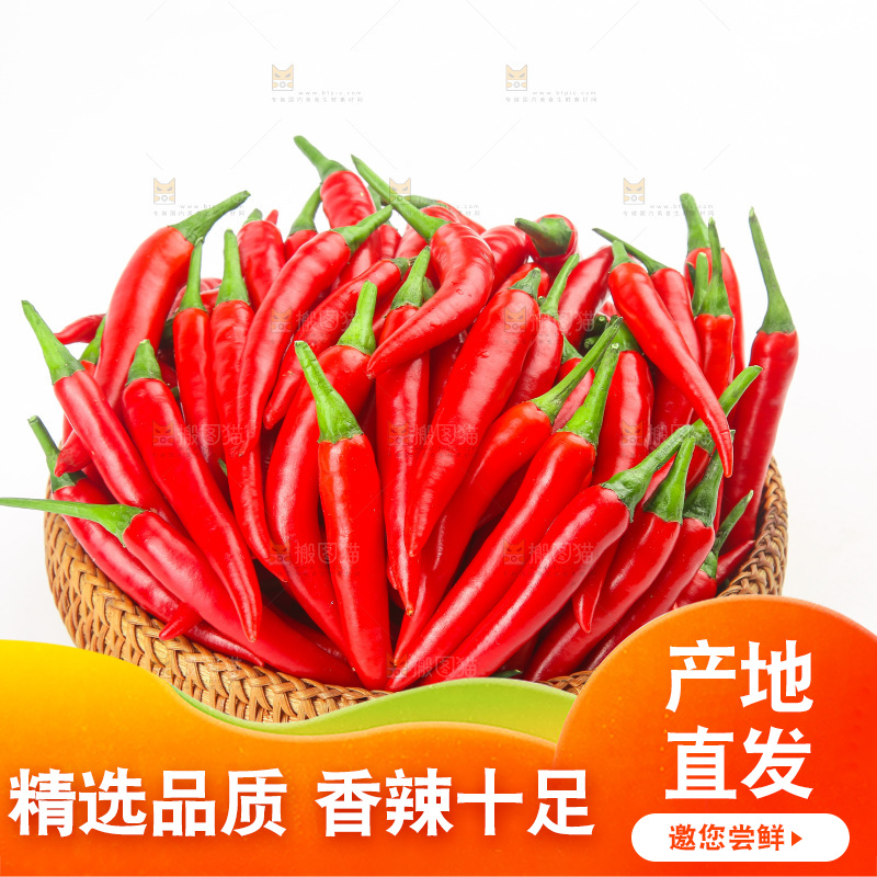 白底上的小米辣