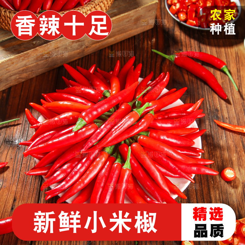 木底上的小米椒