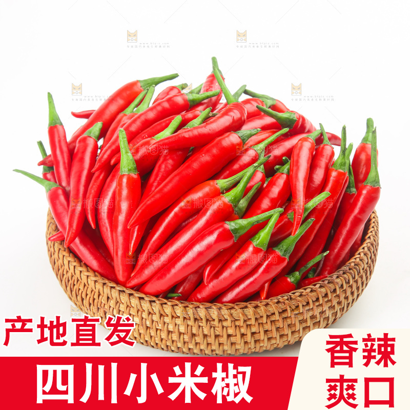 白底上的小米辣