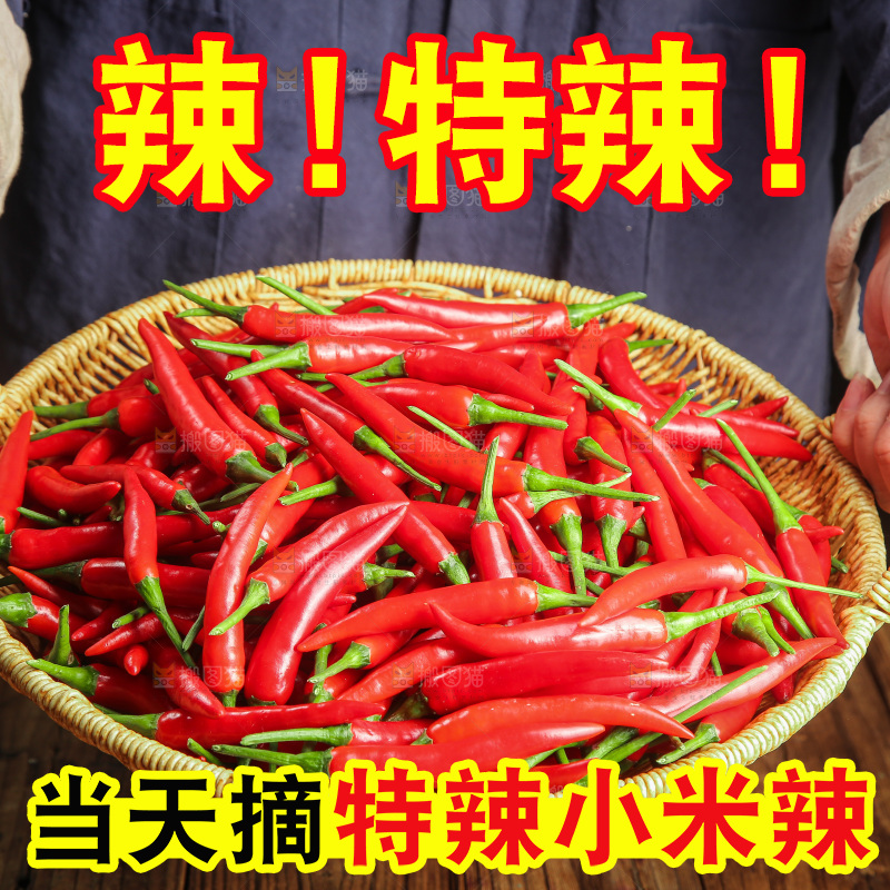 木底上的小米椒
