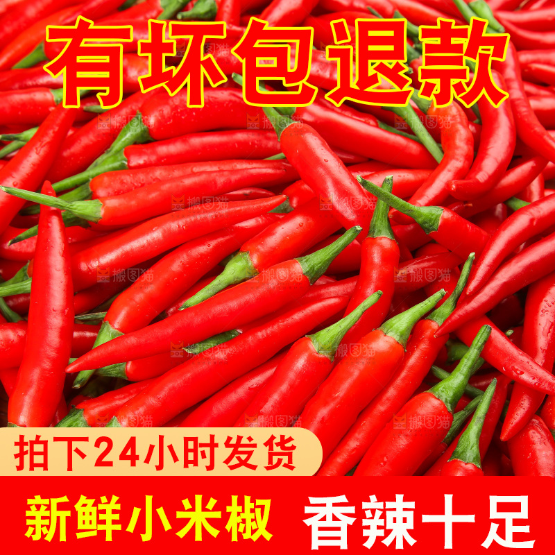木底上的小米椒