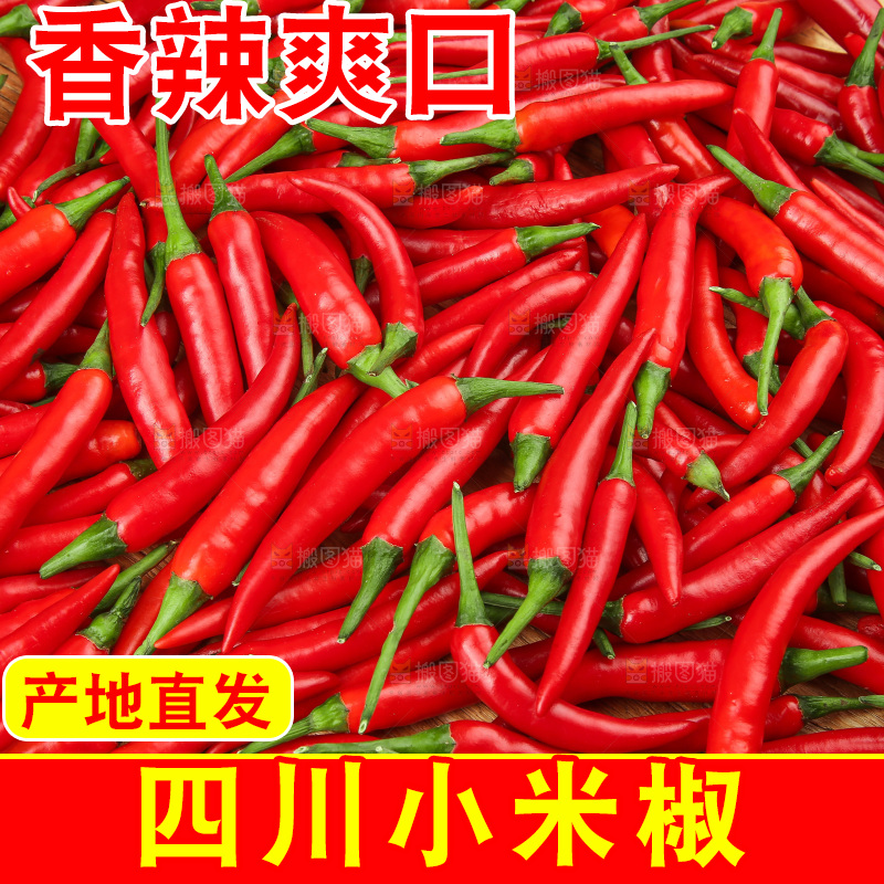 深底上的小米椒