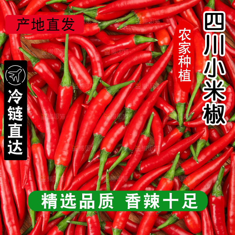 深底上的小米椒