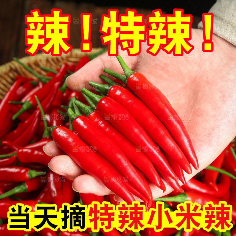 木底上的小米椒