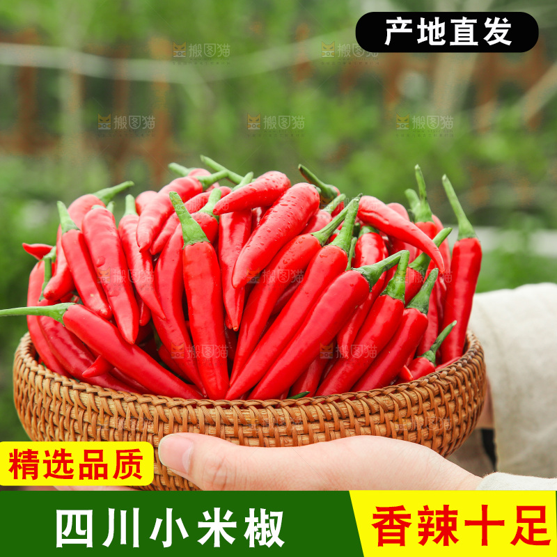 手里拿着小米辣