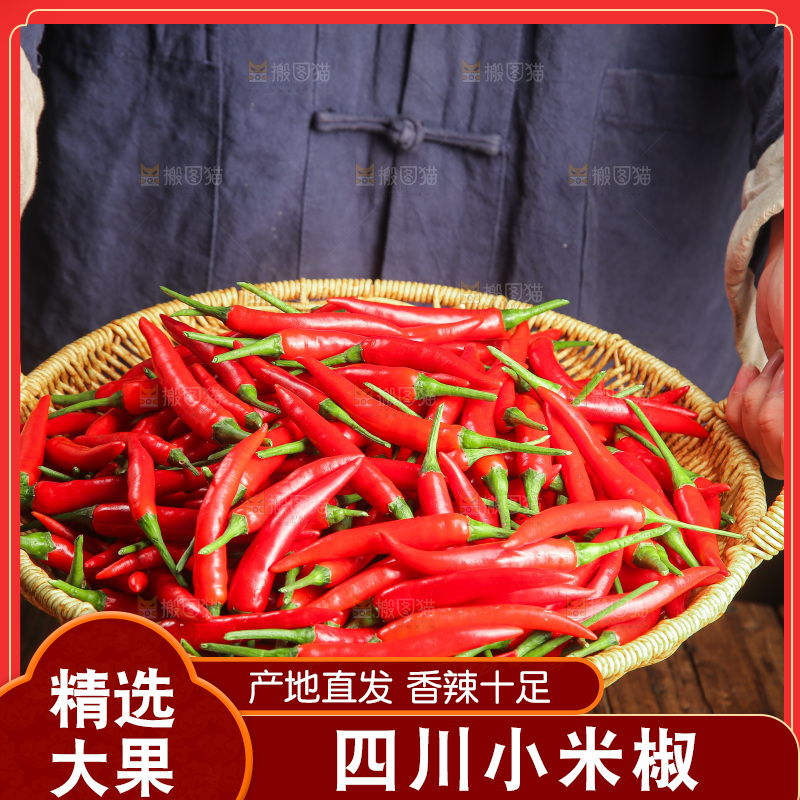 木底上的小米椒