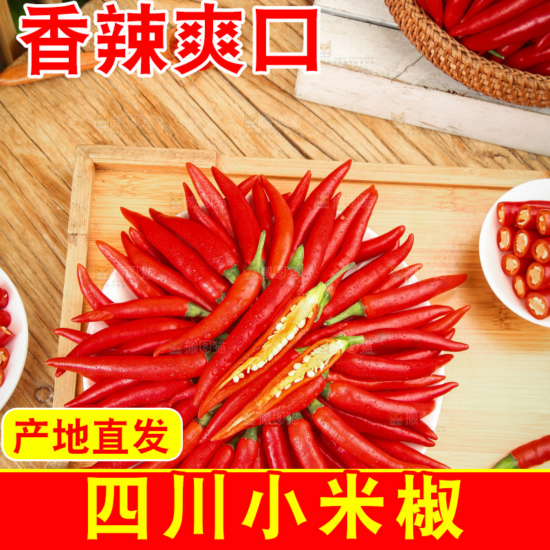 深底上的小米椒