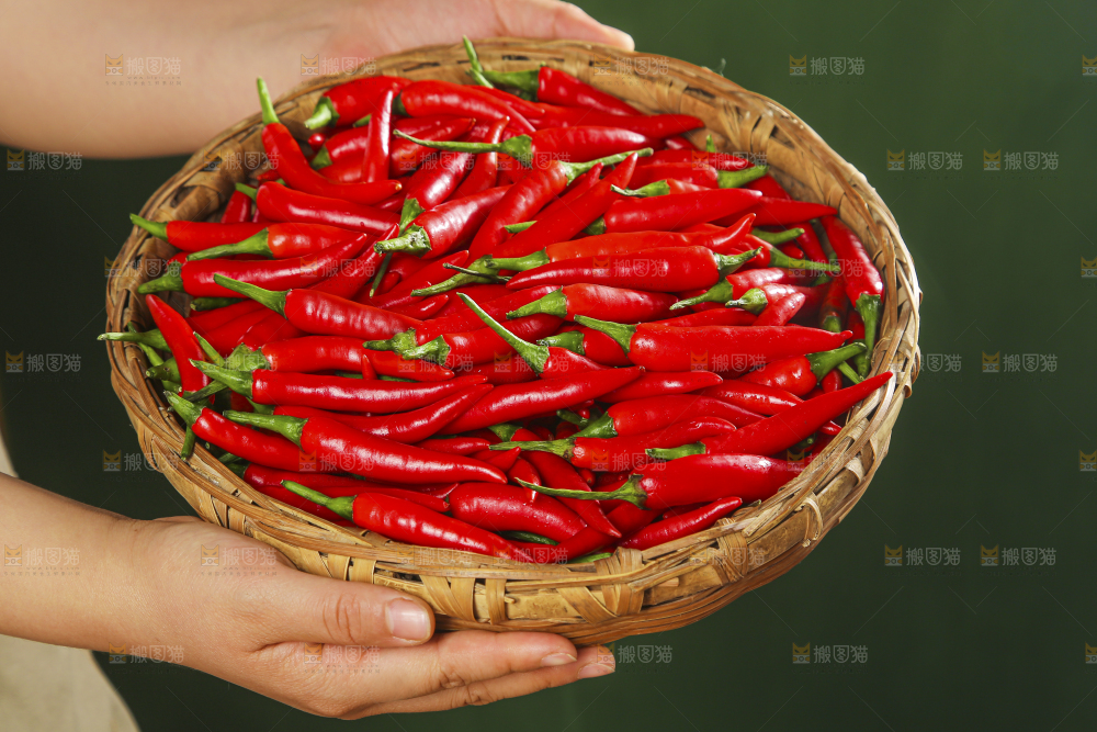 小米椒