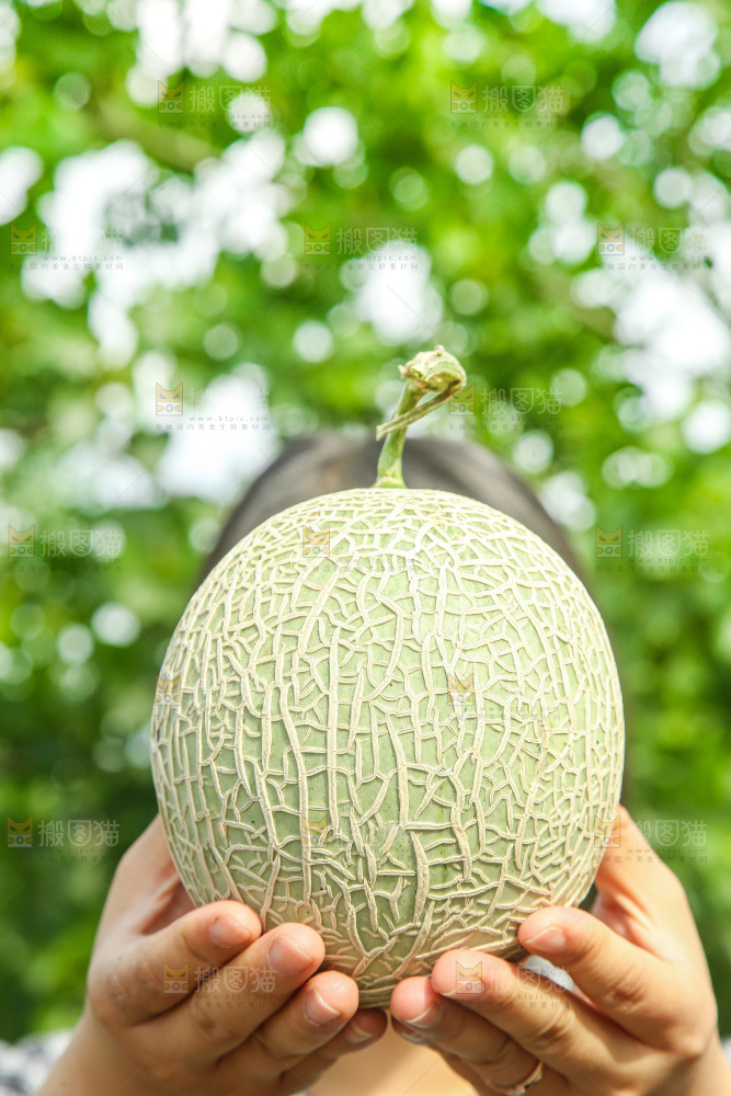 手里拿着玫珑蜜瓜