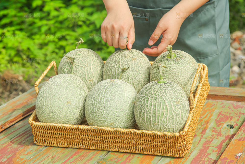 手里拿着网纹蜜瓜