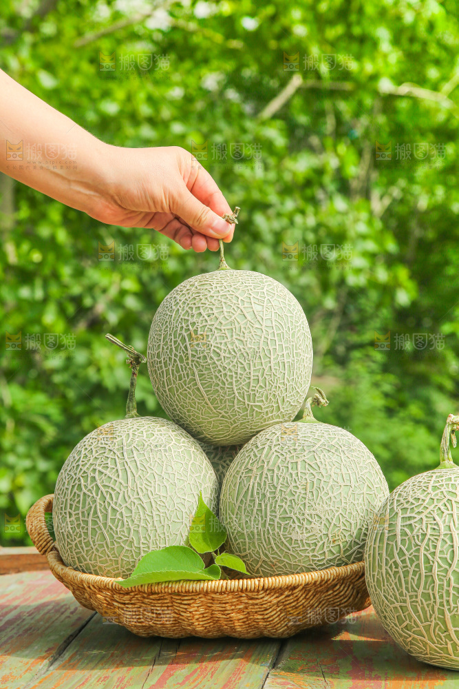 桌子上放着玫珑网纹瓜