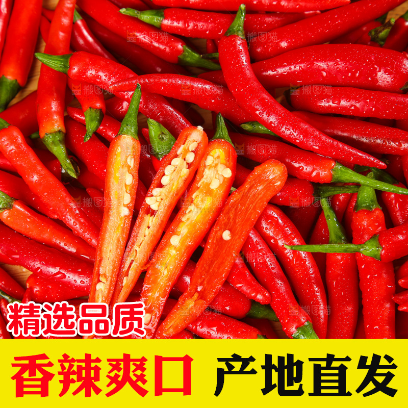 深底上的农家小米辣