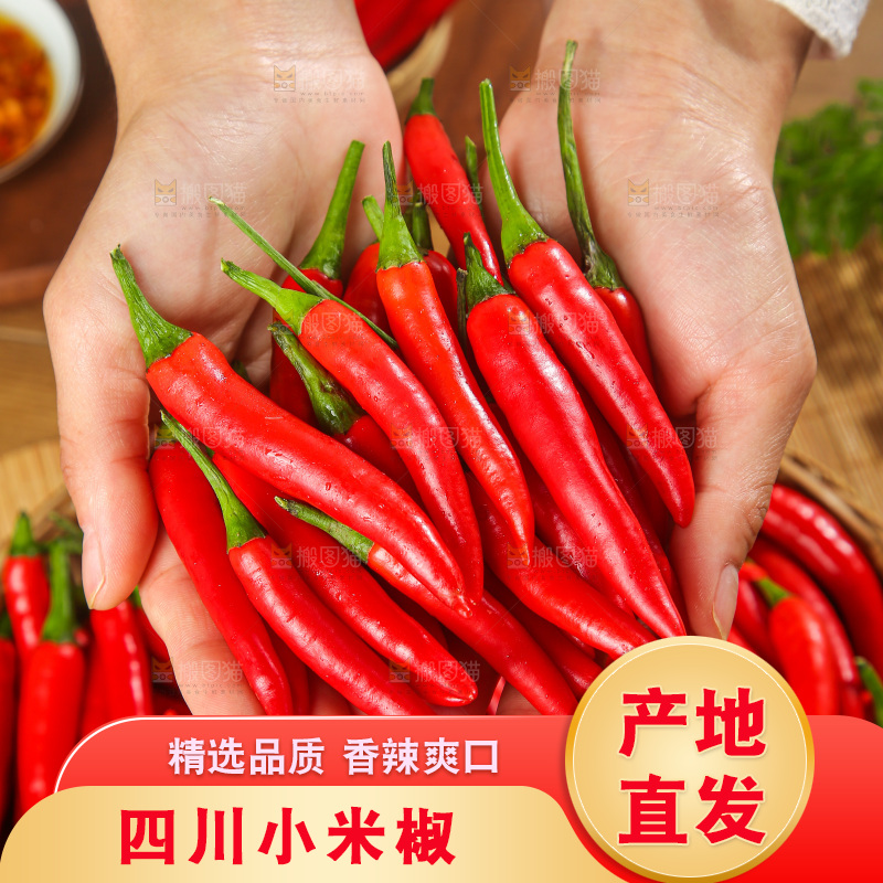 深底上的农家小米椒