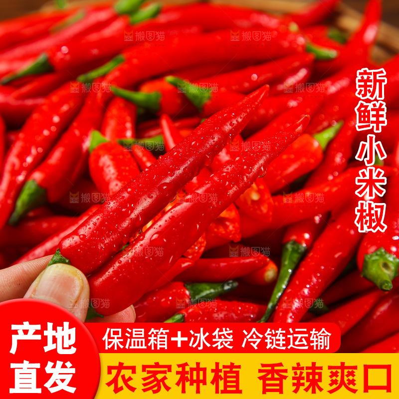 木底上的小米椒