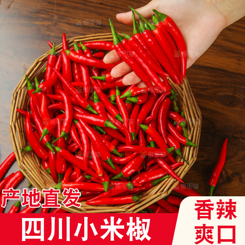 木底上的小米椒