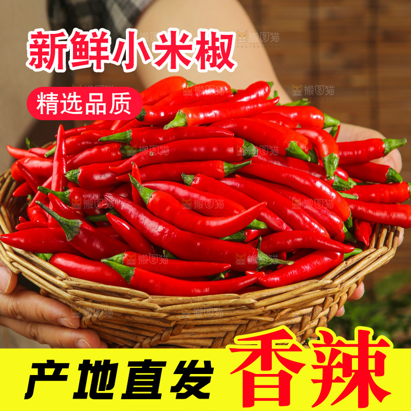 深底上的农家小米椒