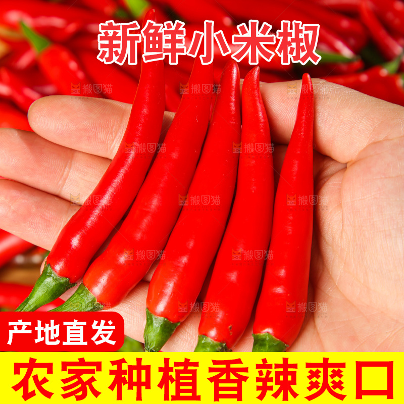 深底上的农家小米椒