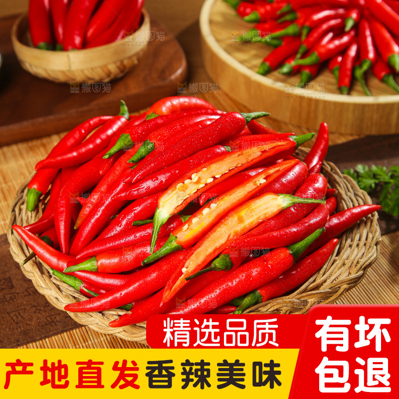 深底上的农家小米辣