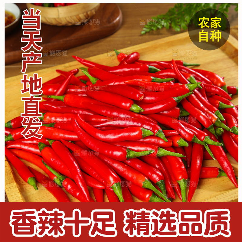 深底上的农家小米椒