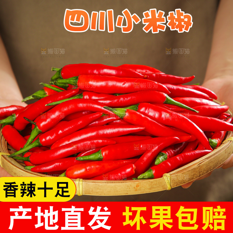 深底上的农家小米椒