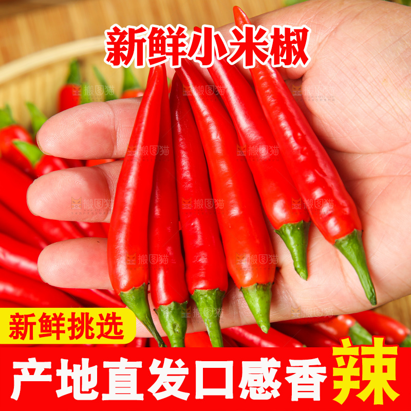 深底上的农家小米辣