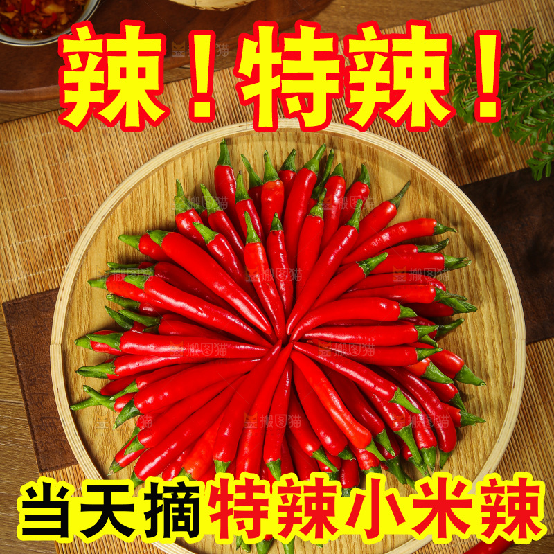 深底上的农家小米椒