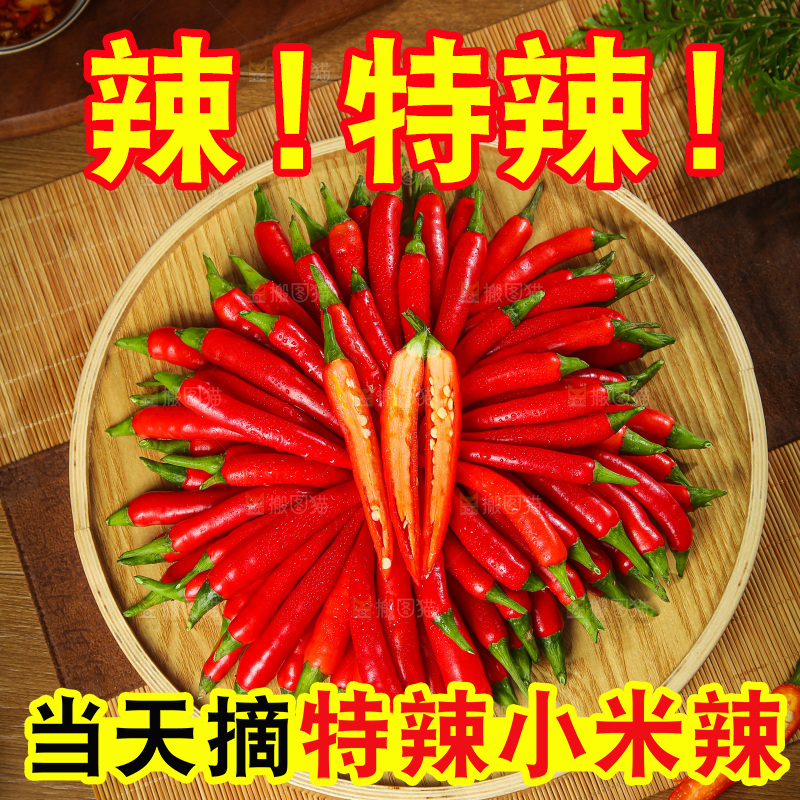 深底上的农家小米辣
