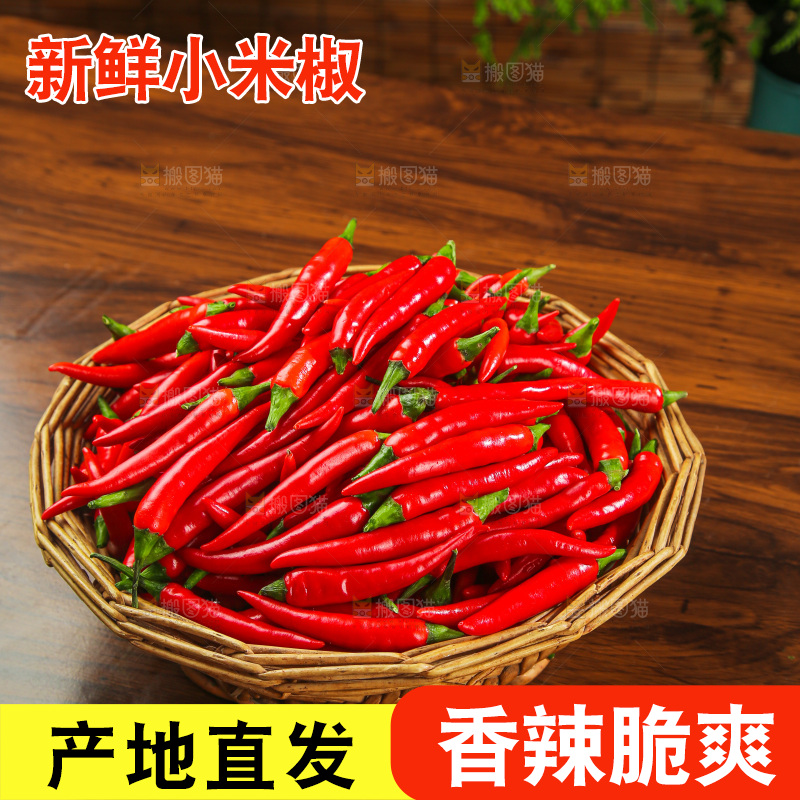 木底上的小米椒