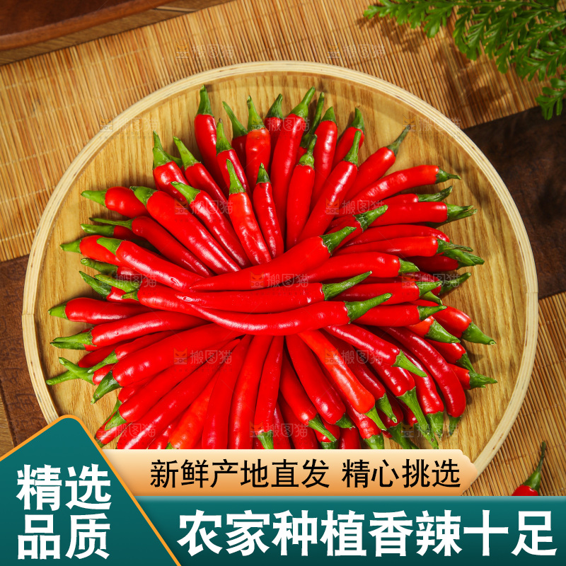 深底上的农家小米辣