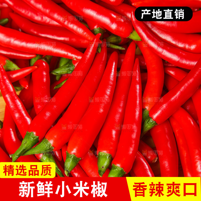 深底上的农家小米椒