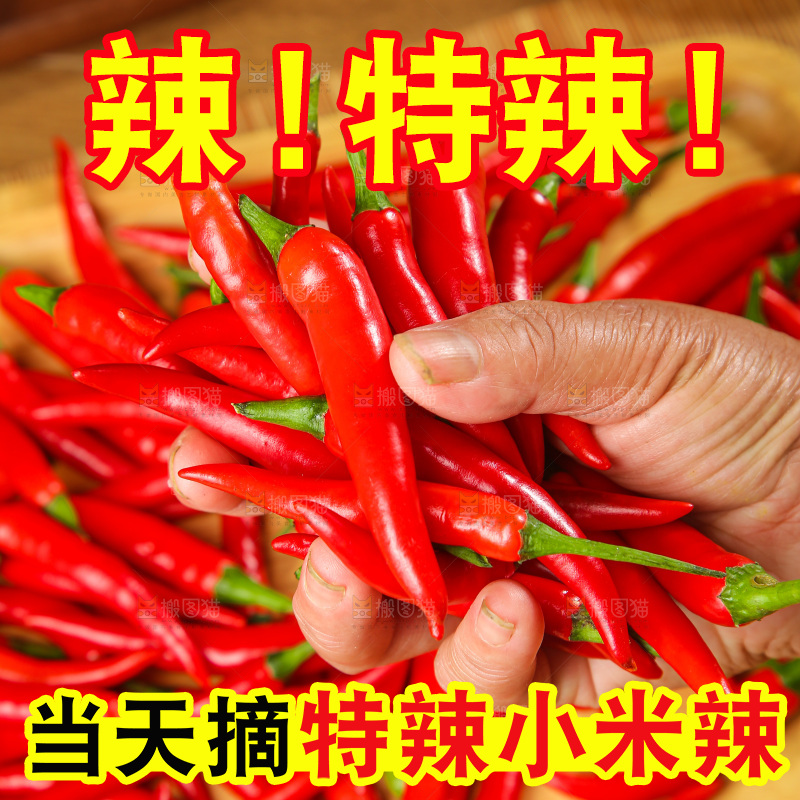 深底上的农家小米辣