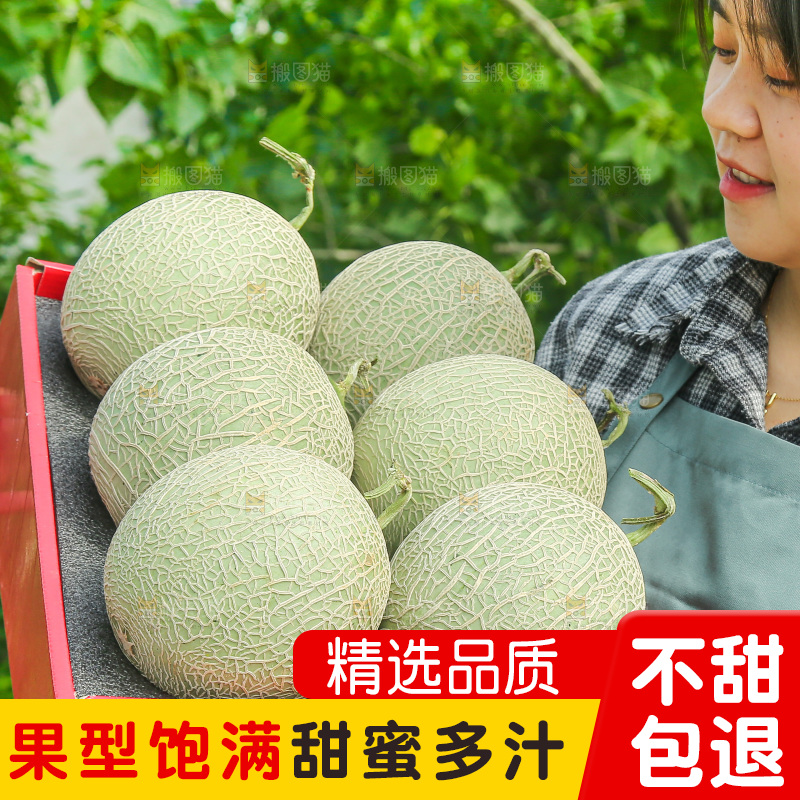 手里拿着玫珑网纹瓜