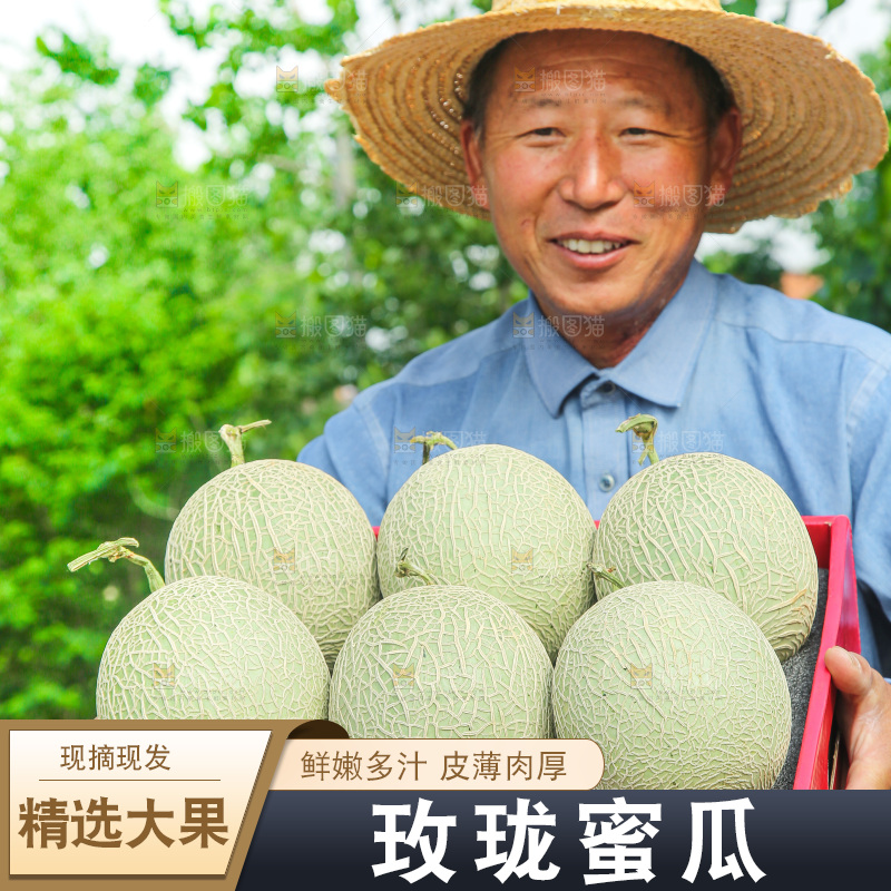 手里拿着玫珑网纹瓜