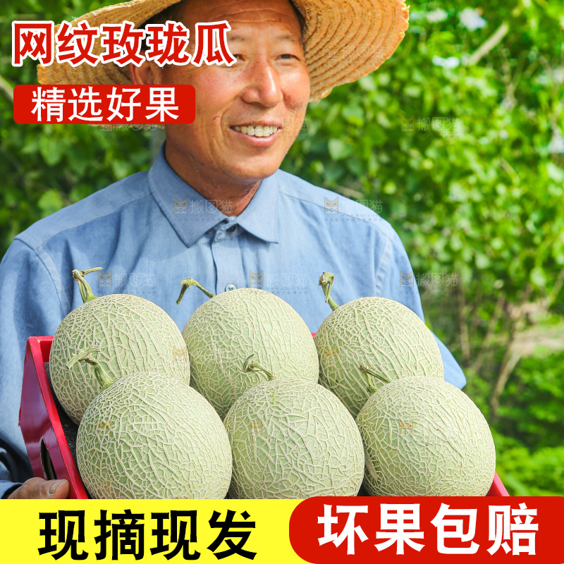 手里拿着玫珑网纹瓜